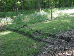 edwards digs across neighbors