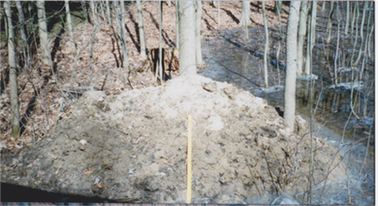 edwards digging