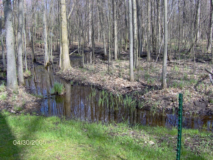 edwards Trenches 4-30-05